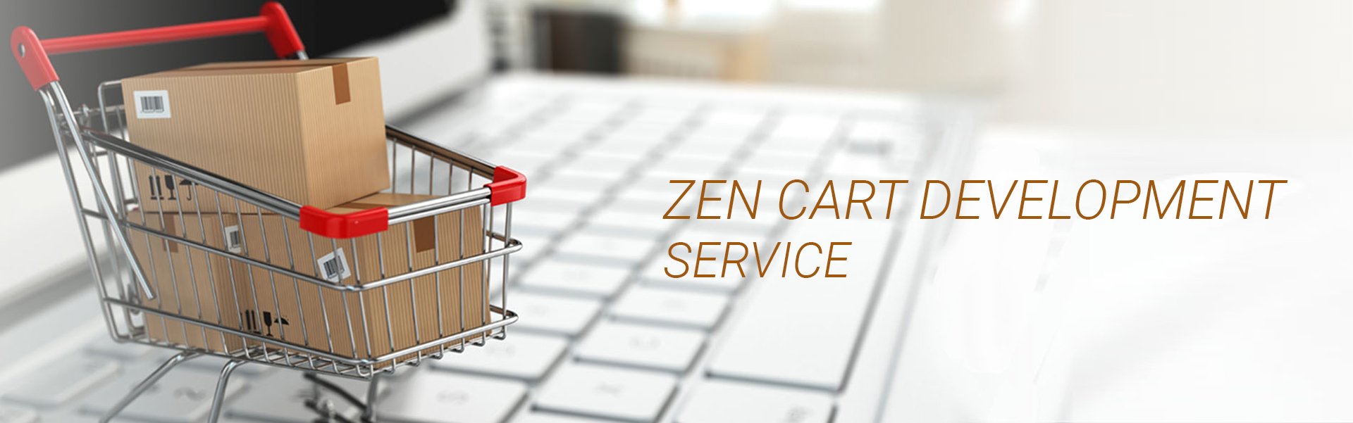 zen-cart-development-service-in-bangalore